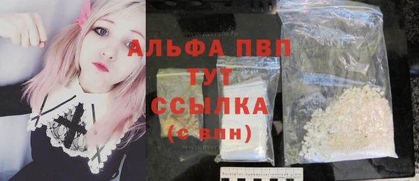СК Новозыбков