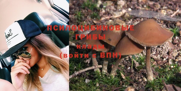 СК Новозыбков