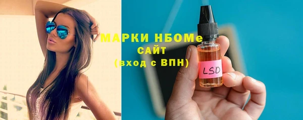 СК Новозыбков