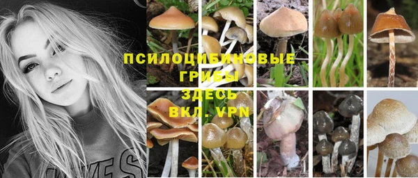 гашишное масло Новокубанск