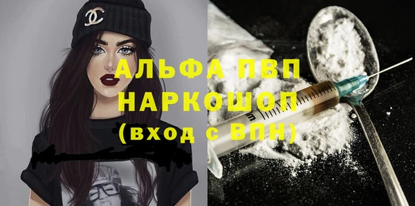 СК Новозыбков