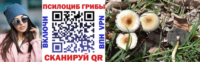 Псилоцибиновые грибы Psilocybine cubensis  Козьмодемьянск 